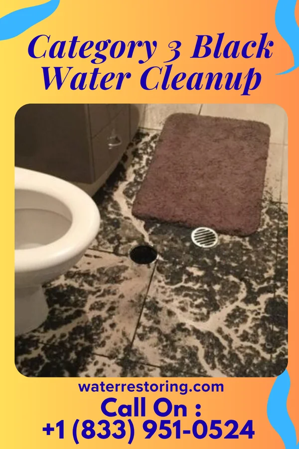 Category 3 Black Water Cleanup in Lidderdale, IA
