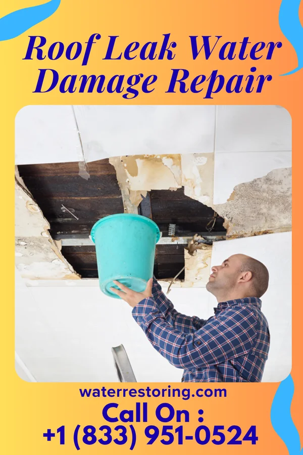 Roof Leak Water Damage Repair in Lidderdale, IA