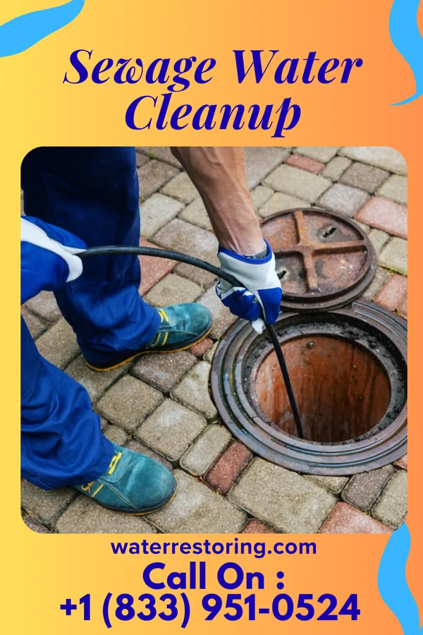 Sewage Water Cleanup in Lidderdale, IA